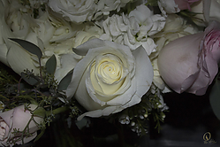 SN_PH18_IMG_5768.jpg