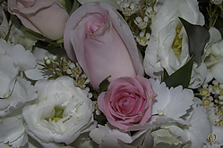 SN_PH18_IMG_5770.jpg