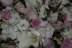 SN_PH18_IMG_5772.jpg