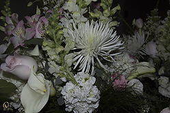 SN_PH18_IMG_5773.jpg