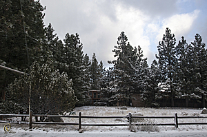 Tahoe_PH17_IMG_2867.jpg