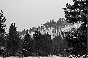 Tahoe_PH17_IMG_2871.jpg