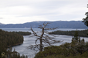 Tahoe_PH17_IMG_2637.jpg