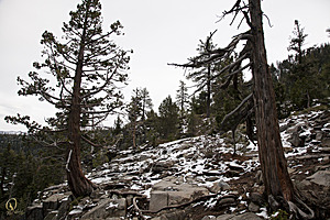Tahoe_PH17_IMG_2652.jpg