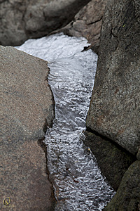 Tahoe_PH17_IMG_2664.jpg