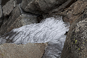 Tahoe_PH17_IMG_2666.jpg