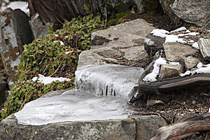 Tahoe_PH17_IMG_2676.jpg
