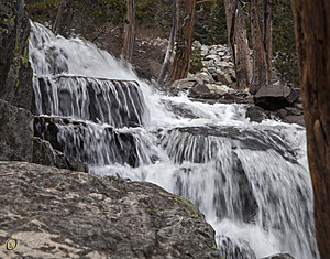 Tahoe_PH17_IMG_2686.jpg