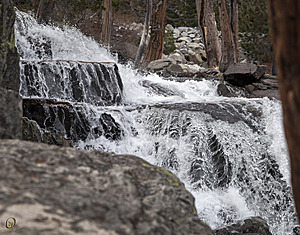 Tahoe_PH17_IMG_2696.jpg