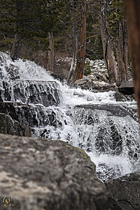 Tahoe_PH17_IMG_2698.jpg