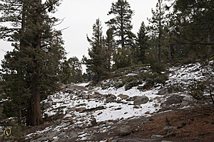 Tahoe_PH17_IMG_2713.jpg
