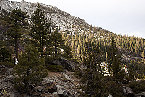 Tahoe_PH17_IMG_2727.jpg