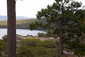 Tahoe_PH17_IMG_2732.jpg