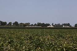 AGMS_PH18_IMG_9643.jpg