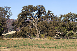 Seka_PH18_IMG_5658.jpg