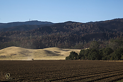 Seka_PH18_IMG_5697.jpg