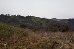 017_CVF_PH19_IMG_0229.jpg