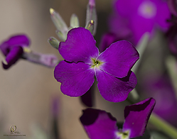 FS_PH19_IMG_3994.jpg