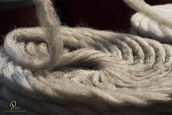 Wool_PH19_IMG_3580.jpg