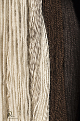 Wool_PH19_IMG_3604.jpg