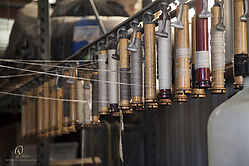 Wool_PH19_IMG_3632.jpg