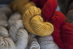 Wool_PH19_IMG_3639.jpg