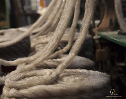 Wool_PH19_IMG_3656.jpg