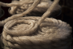 Wool_PH19_IMG_3657.jpg