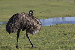 Wool_PH19_IMG_3668_2.jpg