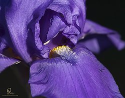 GH_PH19_IMG_4694-5.jpg