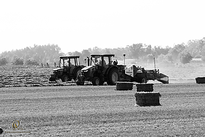36_CF_PH19_IMG_4568.jpg