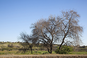 011_CO2_PH20_IMG_4846.jpg