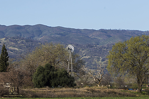 026_CO2_PH20_IMG_4150.jpg