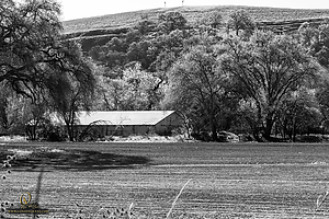 029_CO2_PH20_IMG_4169.jpg