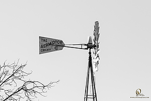 033_CO2_PH20_IMG_4185.jpg