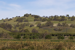 095_CO2_PH20_IMG_4551.jpg