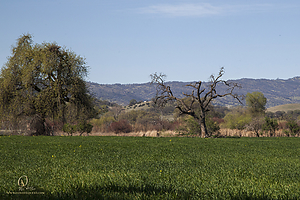 098_CO2_PH20_IMG_5064.jpg