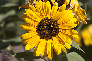 HF_PH20_IMG_8448.jpg