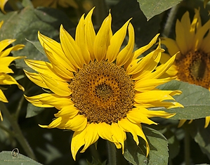 HF_PH20_IMG_8572.jpg