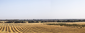 CR25_PH20_IMG_0162-5.jpg