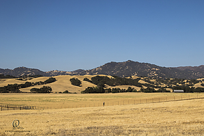 CR25_PH20_IMG_9721.jpg
