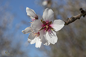 RomFPH21_IMG_5805.jpg