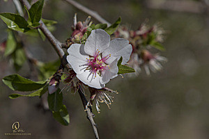 RomFPH21_IMG_5831.jpg