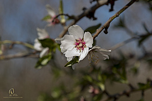 RomFPH21_IMG_6030.jpg