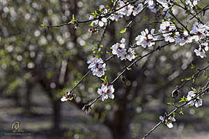 RomFPH21_IMG_8100.jpg
