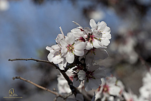 RomFPH21_IMG_8170.jpg