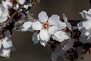RomFPH21_IMG_8173.jpg