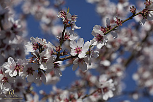 RomFPH21_IMG_8202.jpg