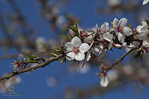RomFPH21_IMG_8216.jpg