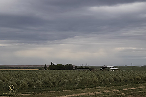 001_HHR_PH21_IMG_7355.jpg
